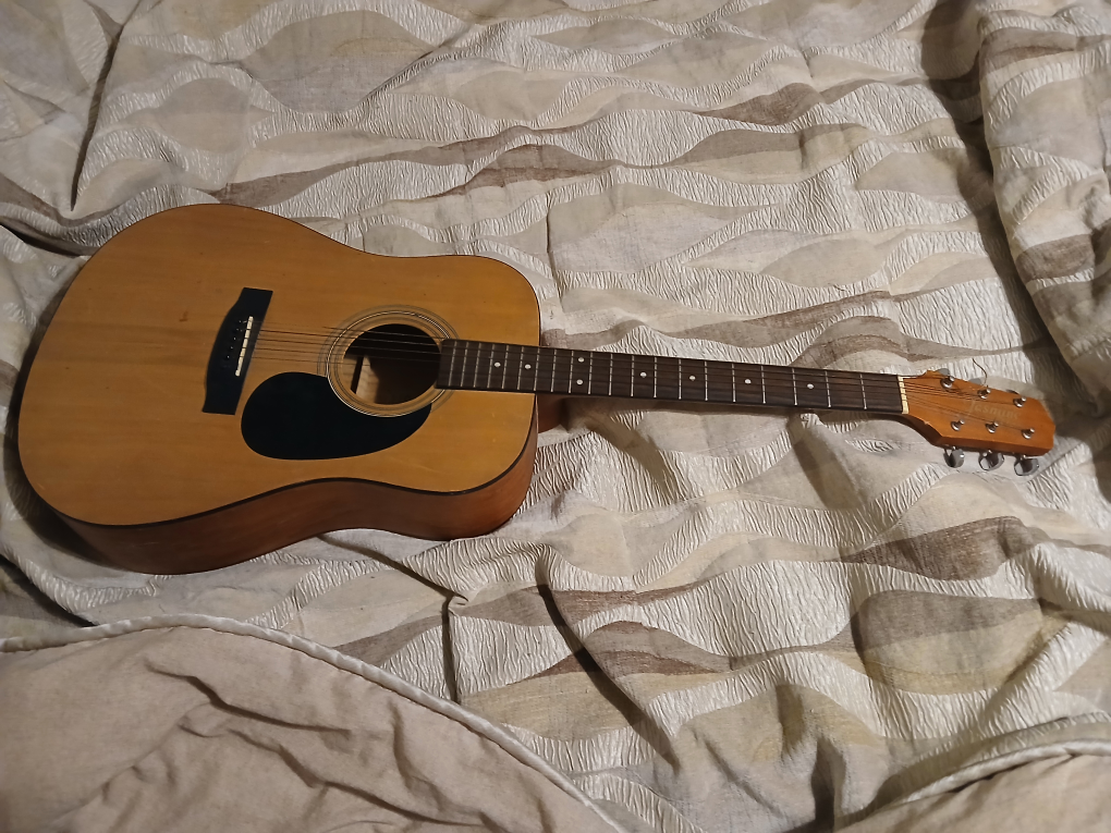 Jasmine by Takamine Acoustic Guitar