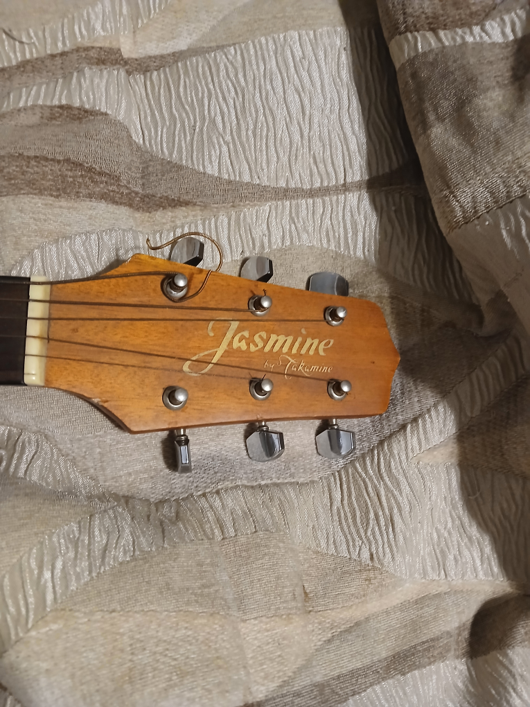 Jasmine by Takamine Acoustic Guitar - photo 2