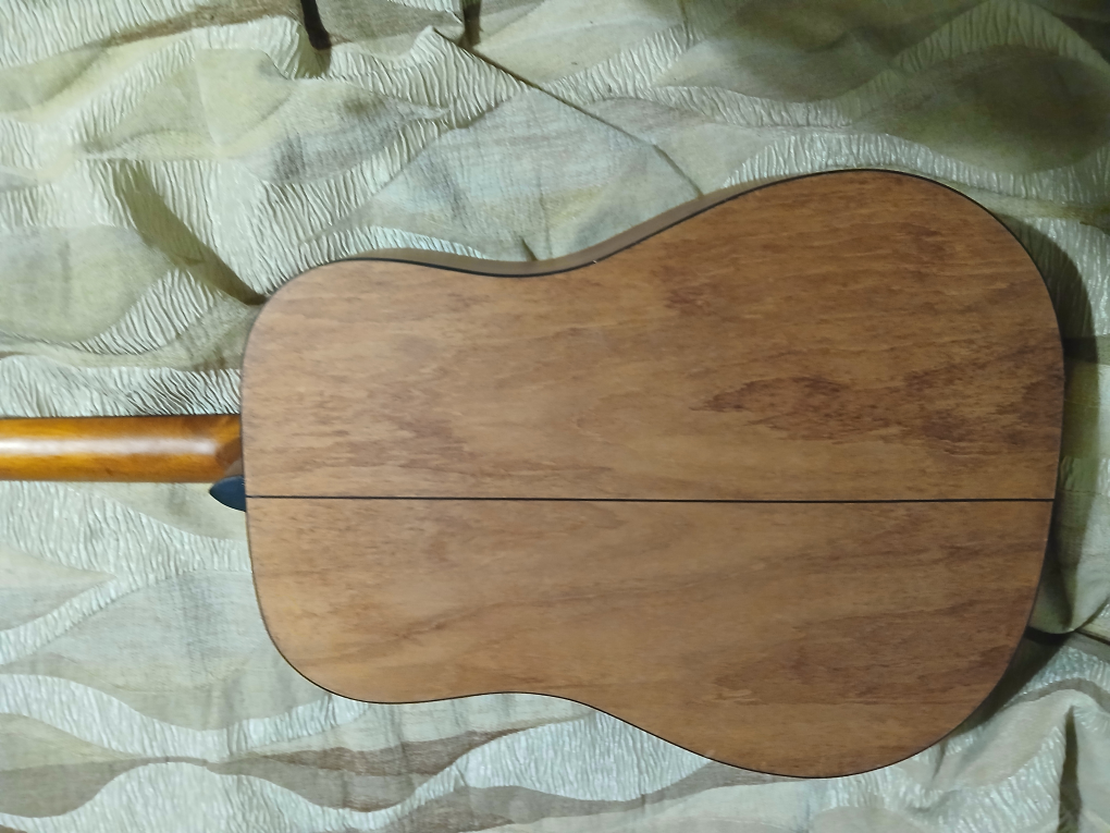 Jasmine by Takamine Acoustic Guitar - photo 4