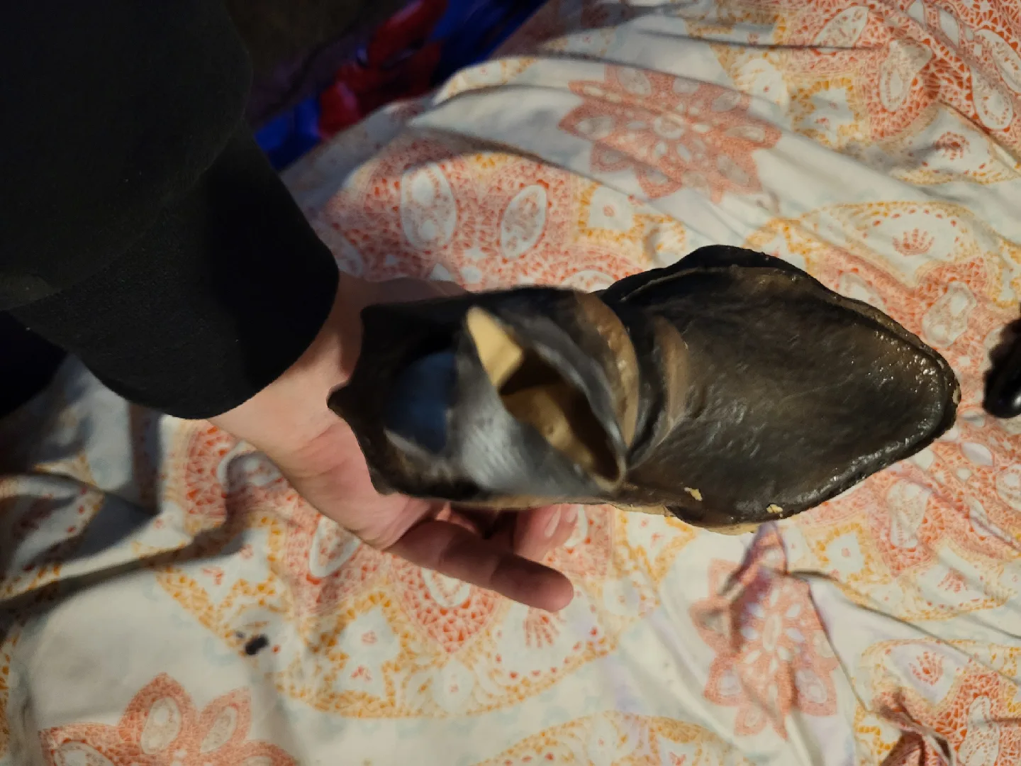 Skull Decoration image indicator(2)