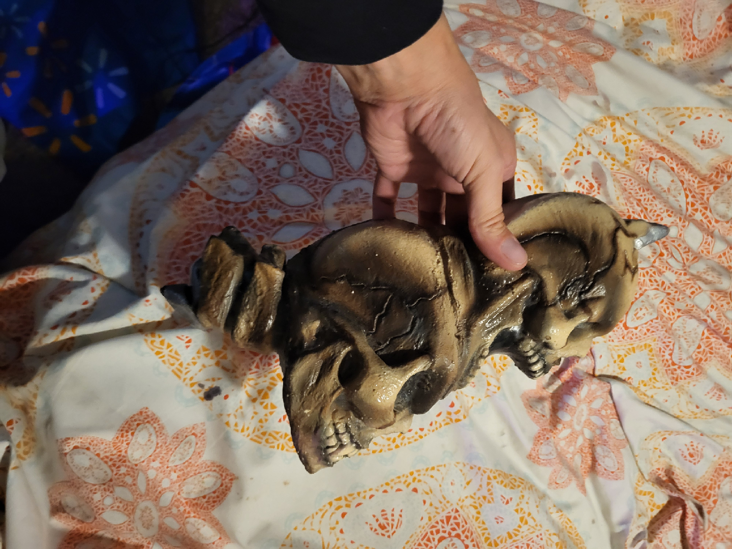 Skull Decoration - photo 4