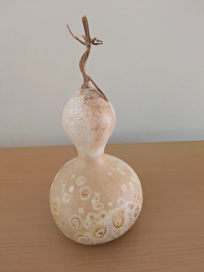 🧡Decorative Dried Gourd thumbnail