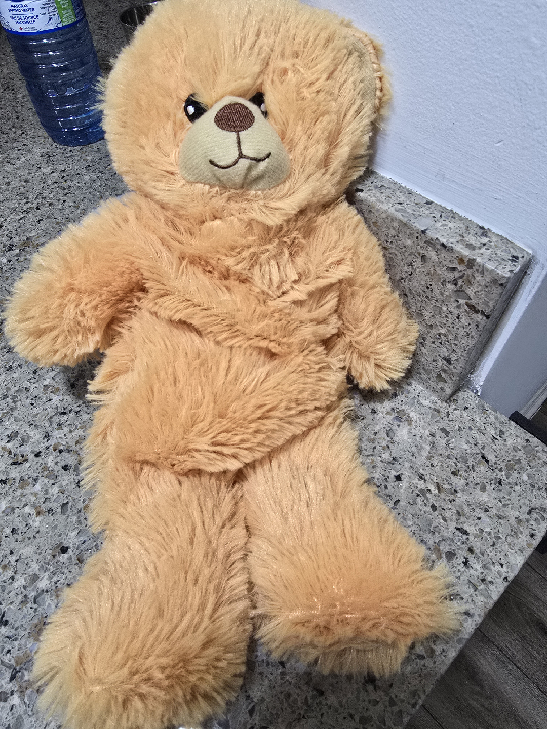Tan Teddy Bear Plush Toy