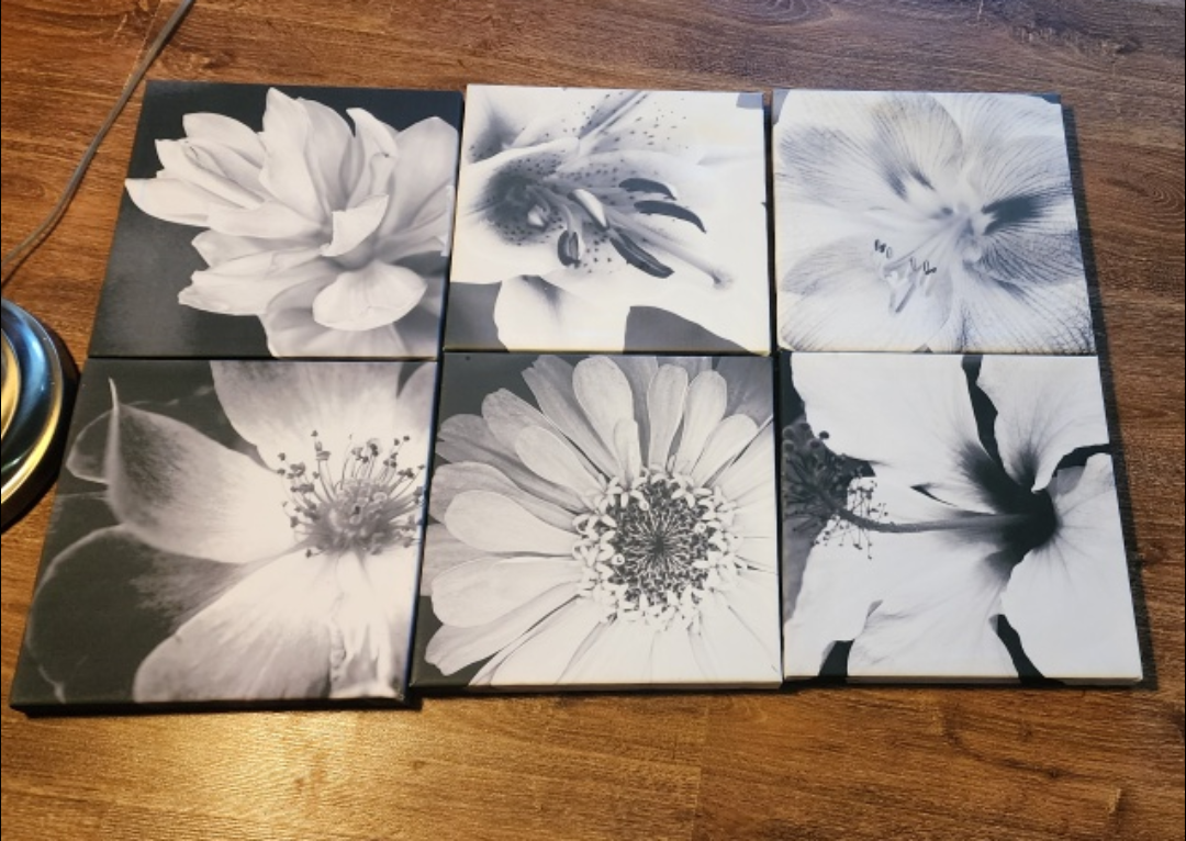 Black and White Floral Canvas Wall Art (Set of 6)