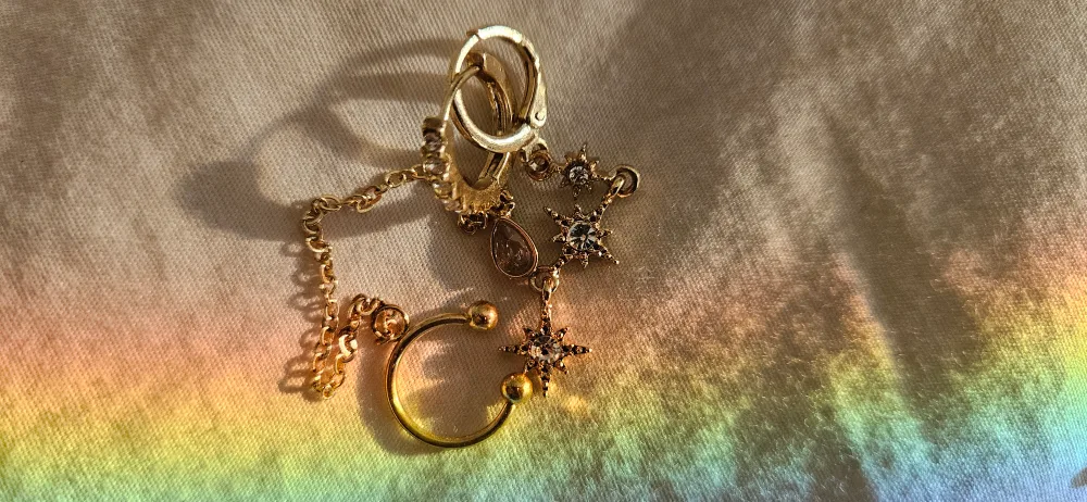 Assorted Gold Earrings image indicator(2)