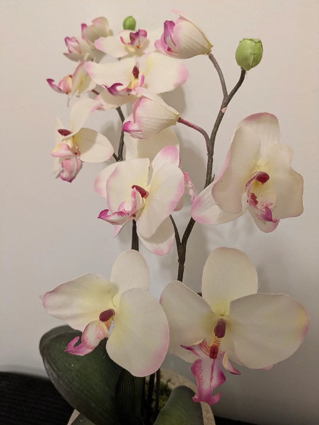 Artificial Orchid Arrangement in Vase image indicator(2)