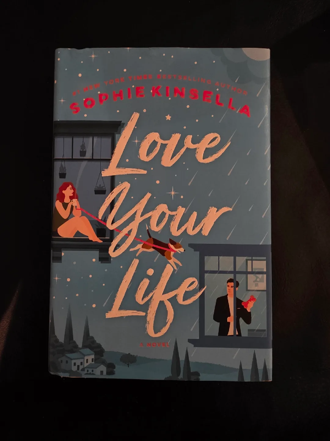 Sophie Kinsella, Jane Harper, Mary Kay Andrews Novels image indicator(3)