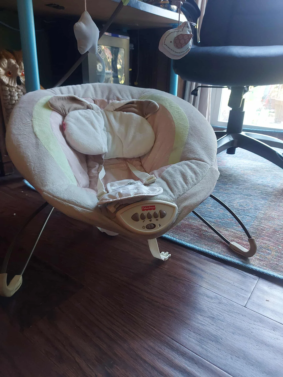 Fisher-Price Infant-to-Toddler Bouncer image indicator(2)