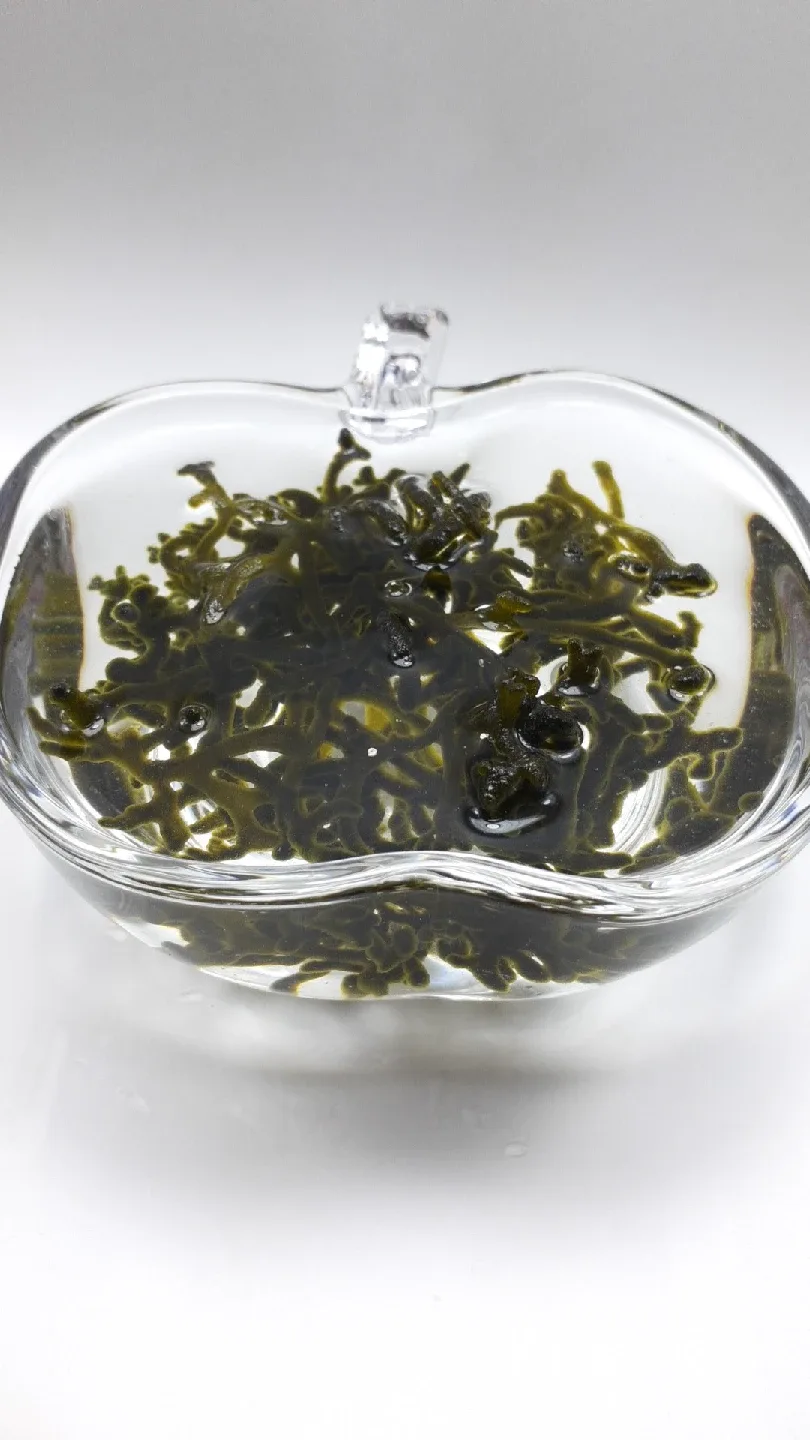 Codium macroalgae image indicator(3)