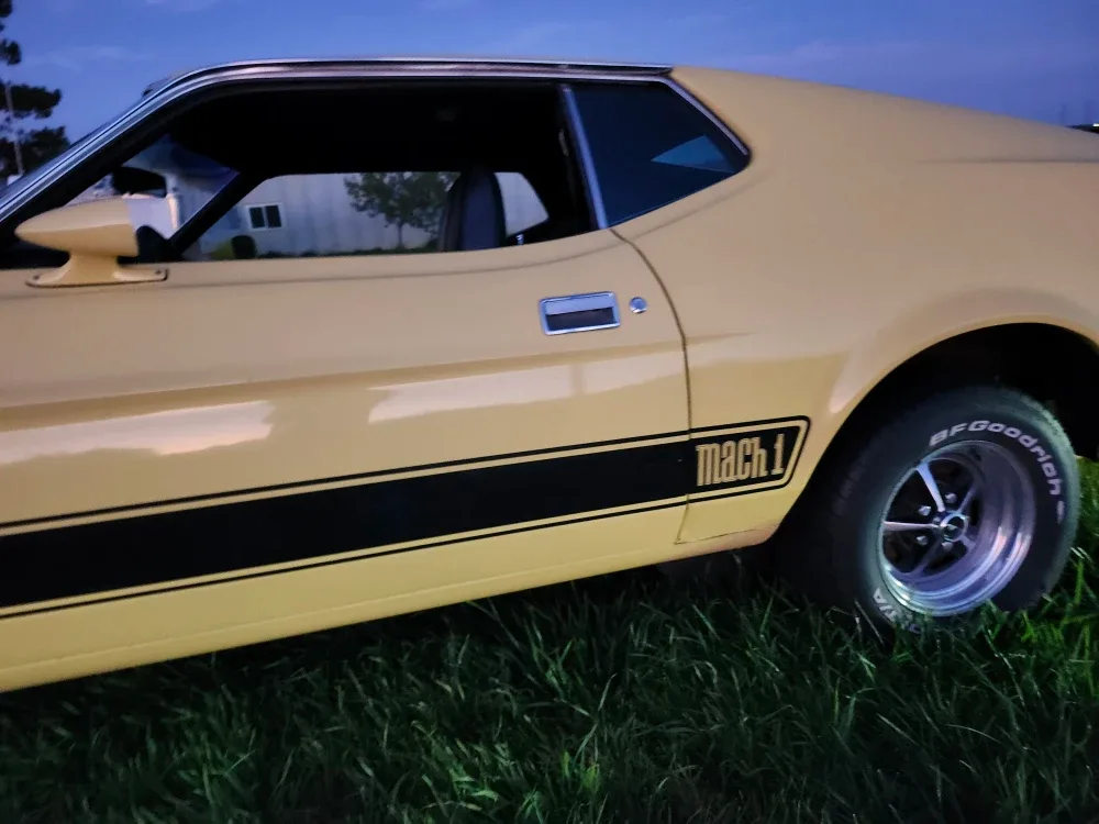 Mustang 1973 Mach 1 image indicator(5)