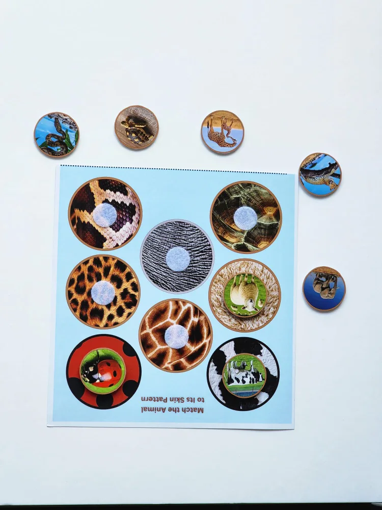 Animal Matching Game