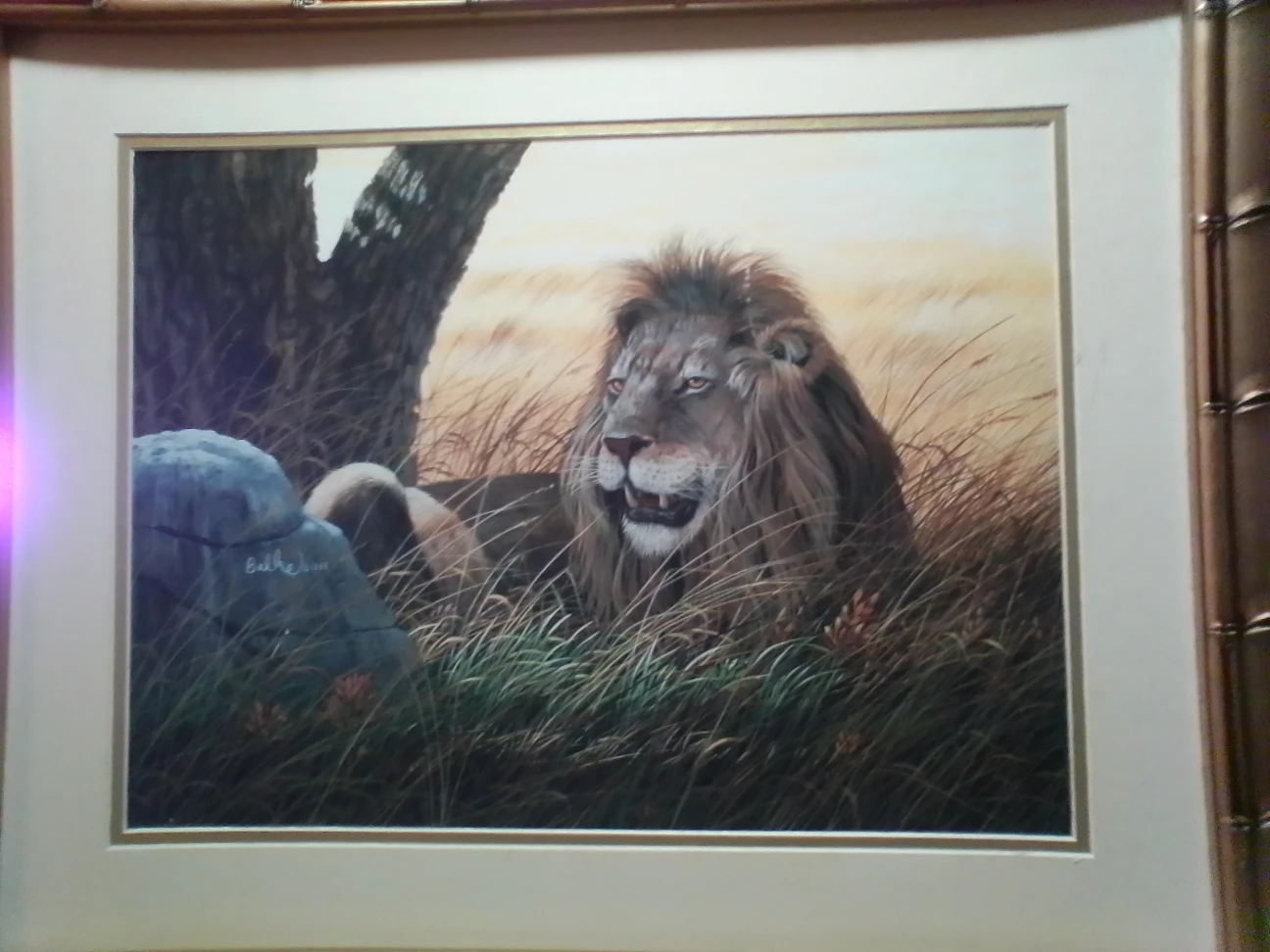 Lion Framed Art by Balke