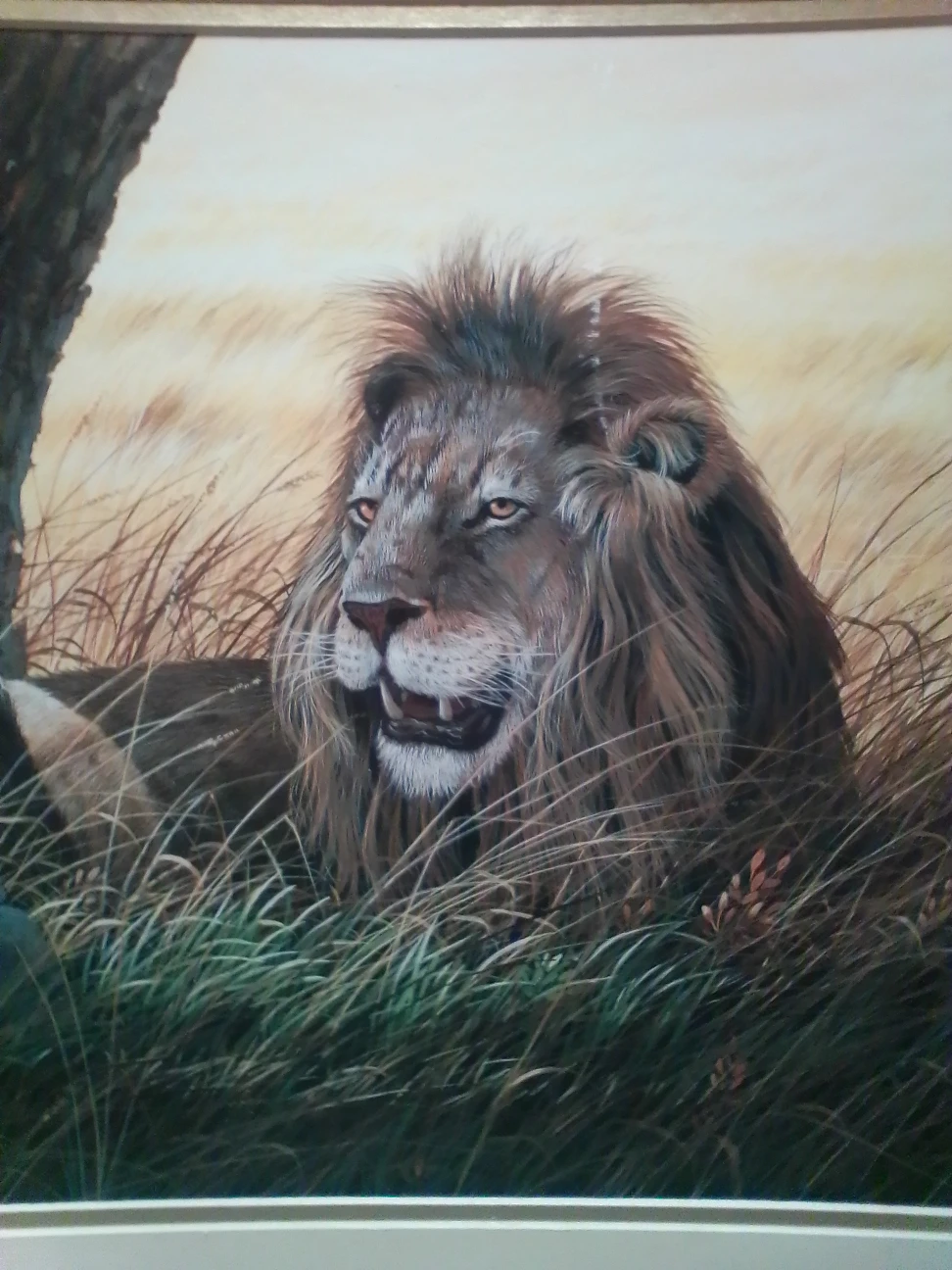 Lion Framed Art by Balke - photo 2