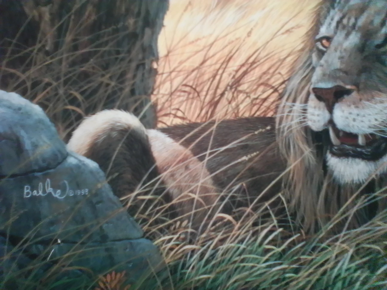 Lion Framed Art by Balke - photo 3