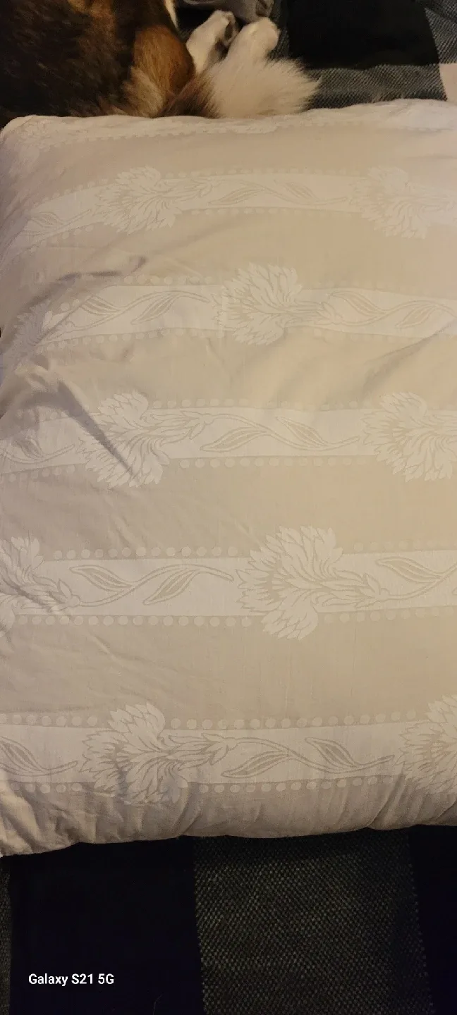 Patterned Pillow