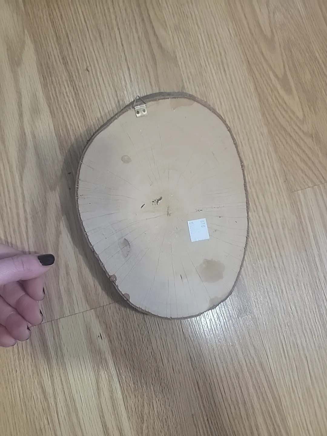 Costa Rica Toucan Wood Slice Art image indicator(9)