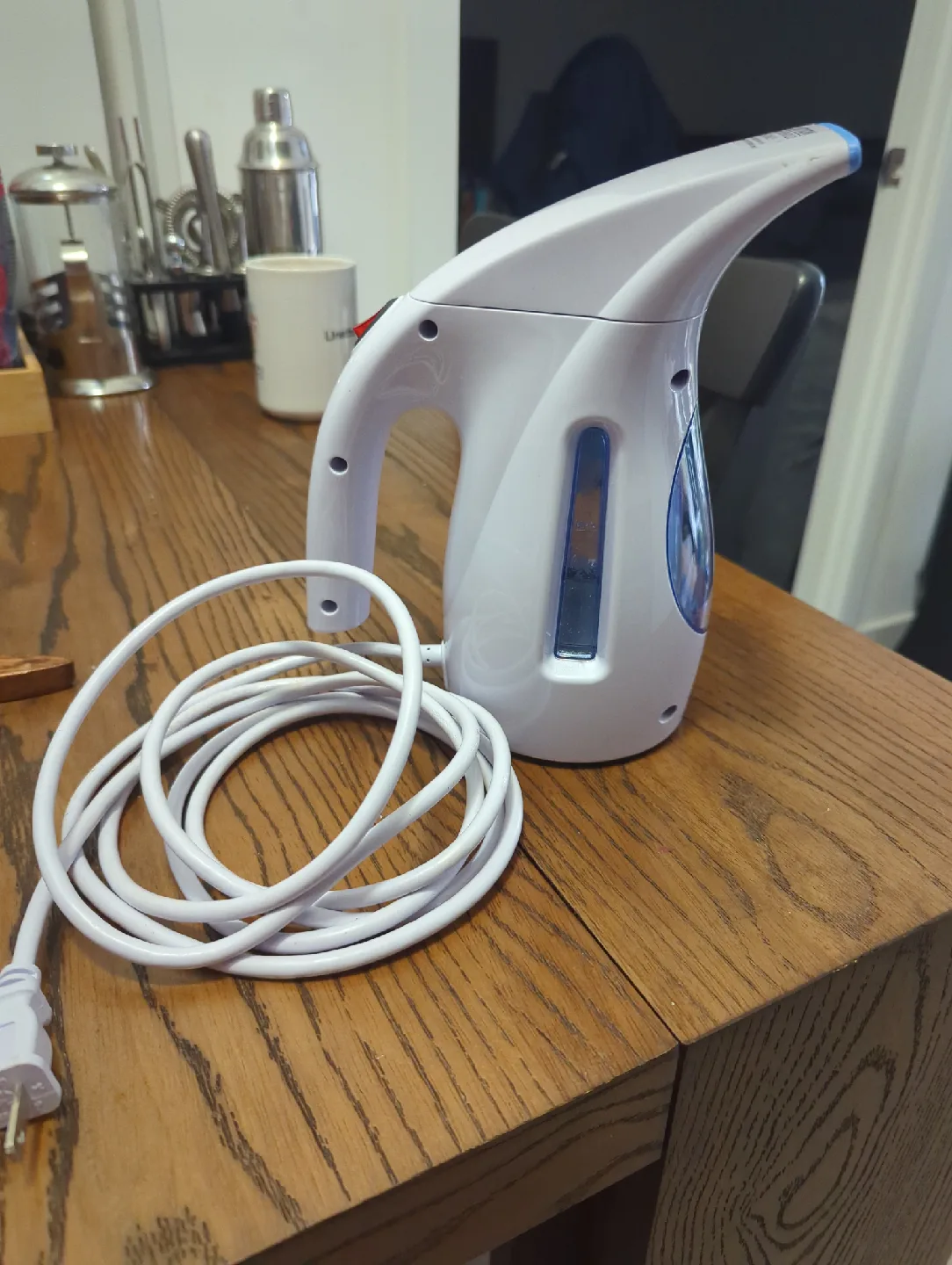 Garment Steamer thumbnail