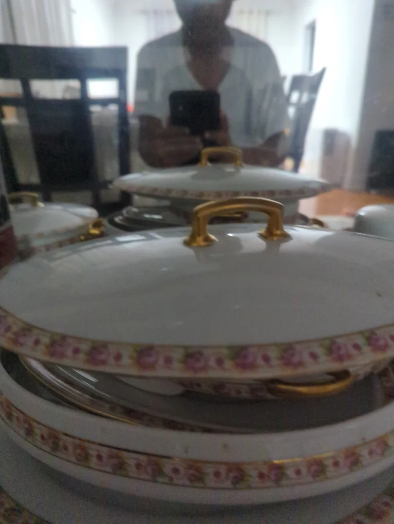 Vintage Floral Dinnerware Set image indicator(2)