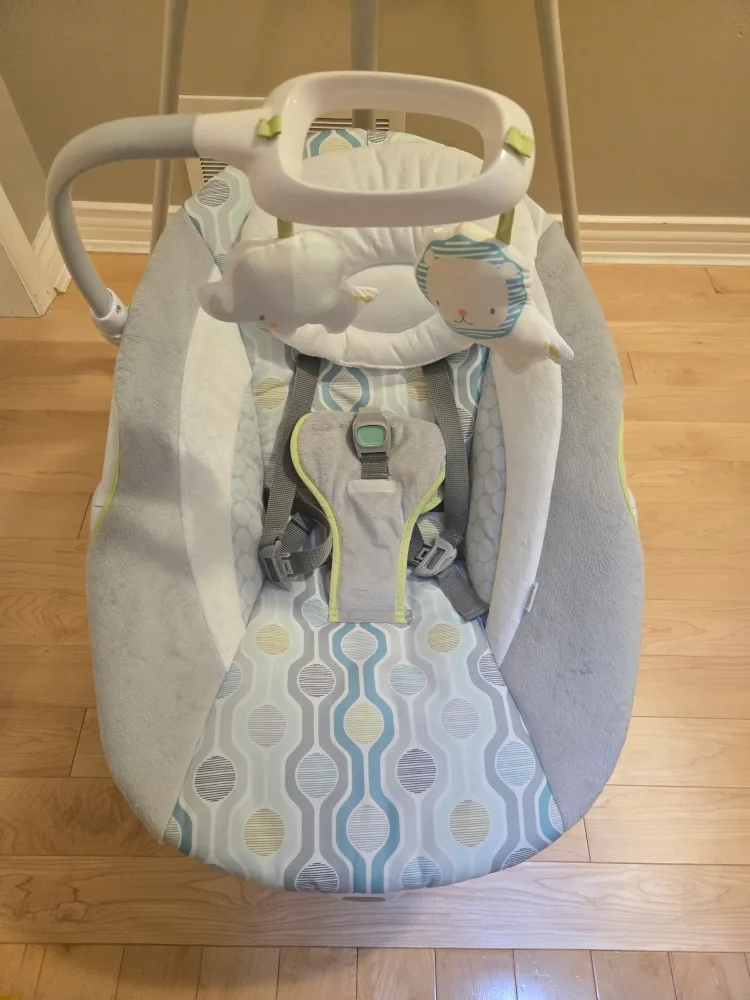 Ingenuity Simple Comfort Cradling Swing, Everston image indicator(2)