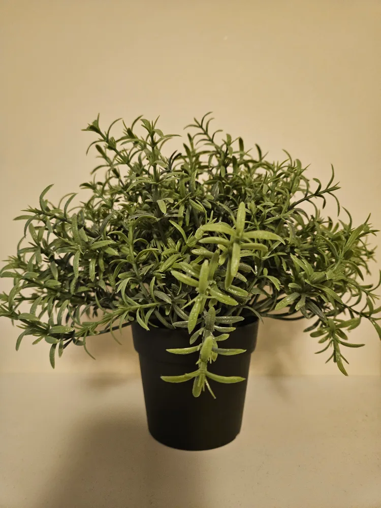 IKEA FEJKA Artificial Potted Plant - 3 1/2"