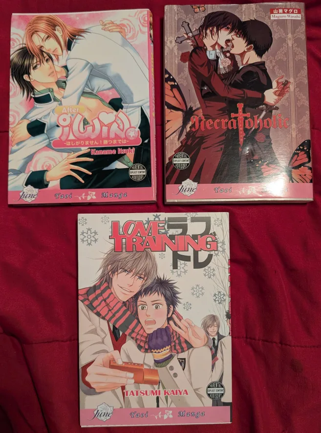 Manga Lot - Mature 18+ image indicator(4)