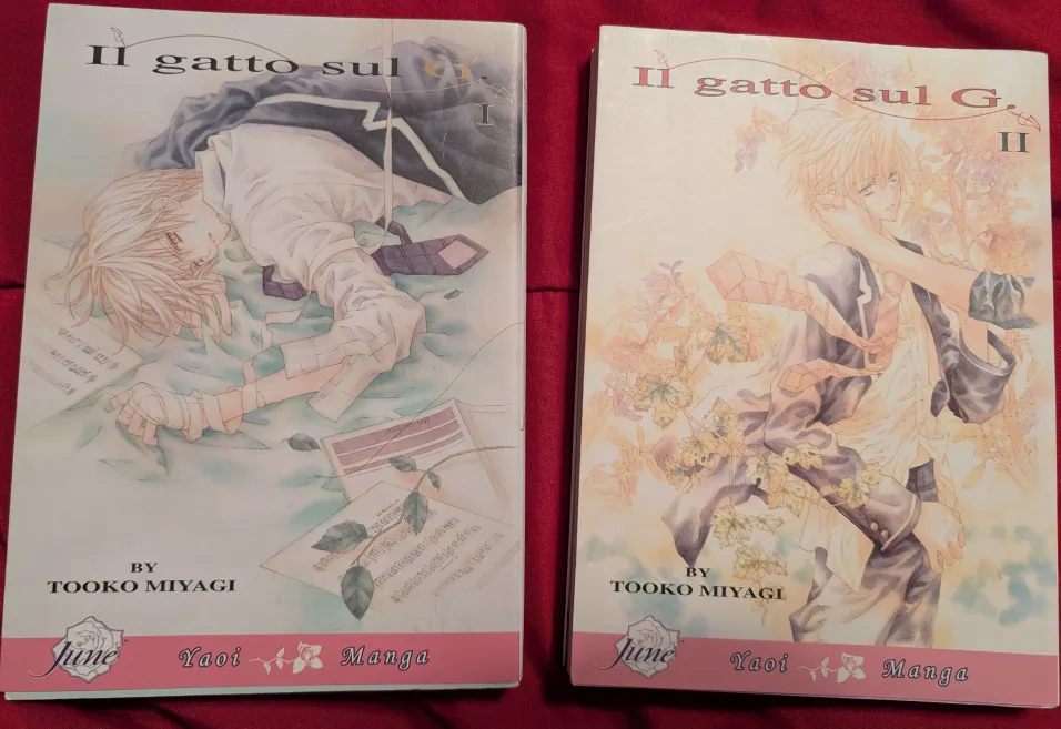 Manga Lot - Mature 18+ image indicator(9)