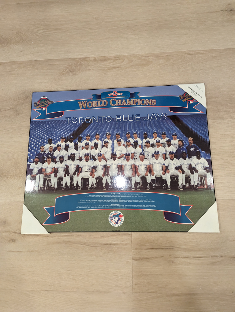 Toronto Blue Jays World Champions Framed Picture