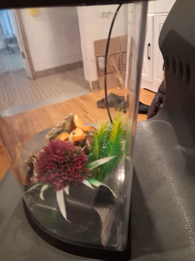 Fish or Turtle aquarium GC image indicator(3)