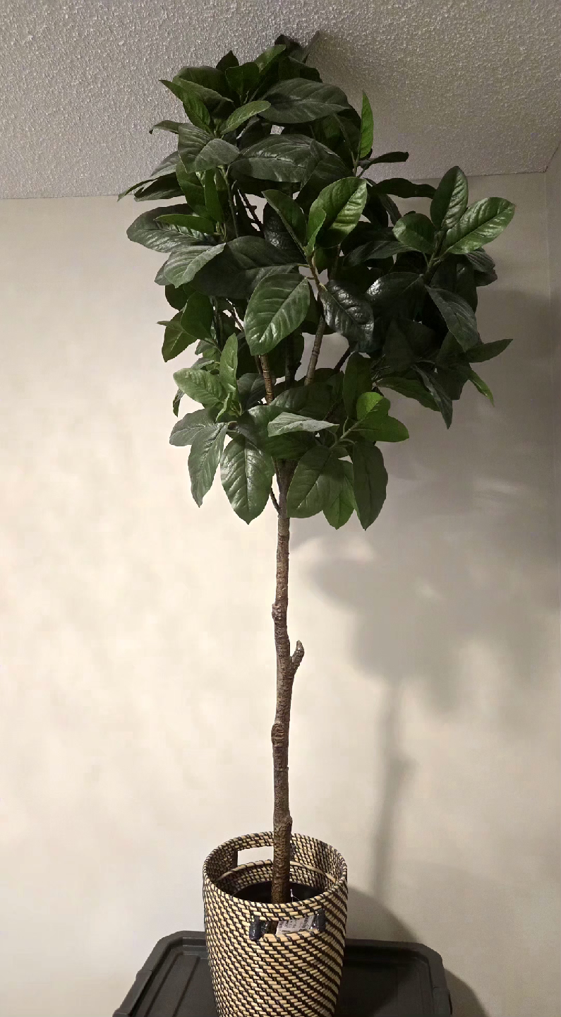 Artificial potted plant, Magnolia - photo 2