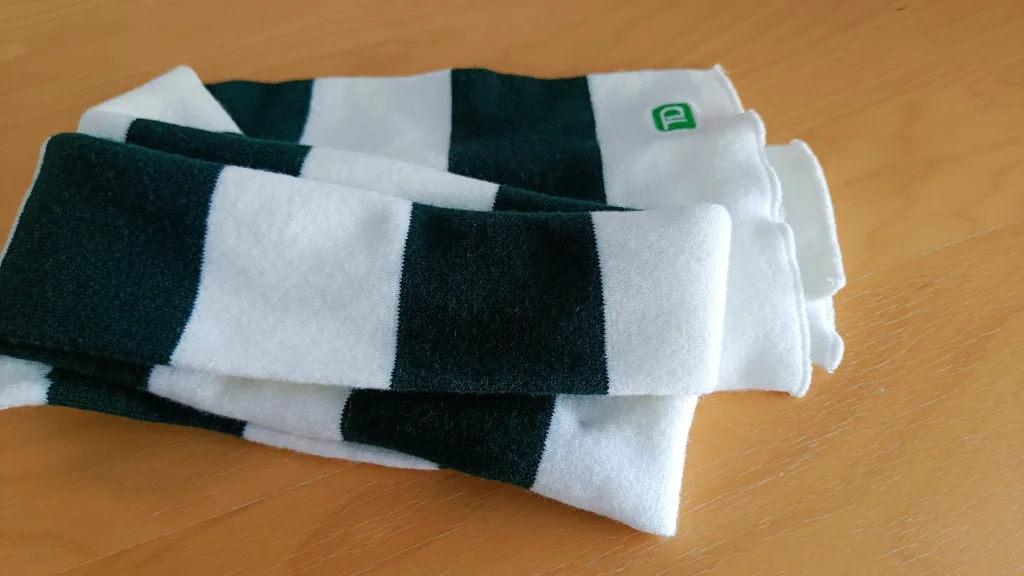 Brand New TD Pendleton Green and White Striped Winter Scarf🥕 thumbnail