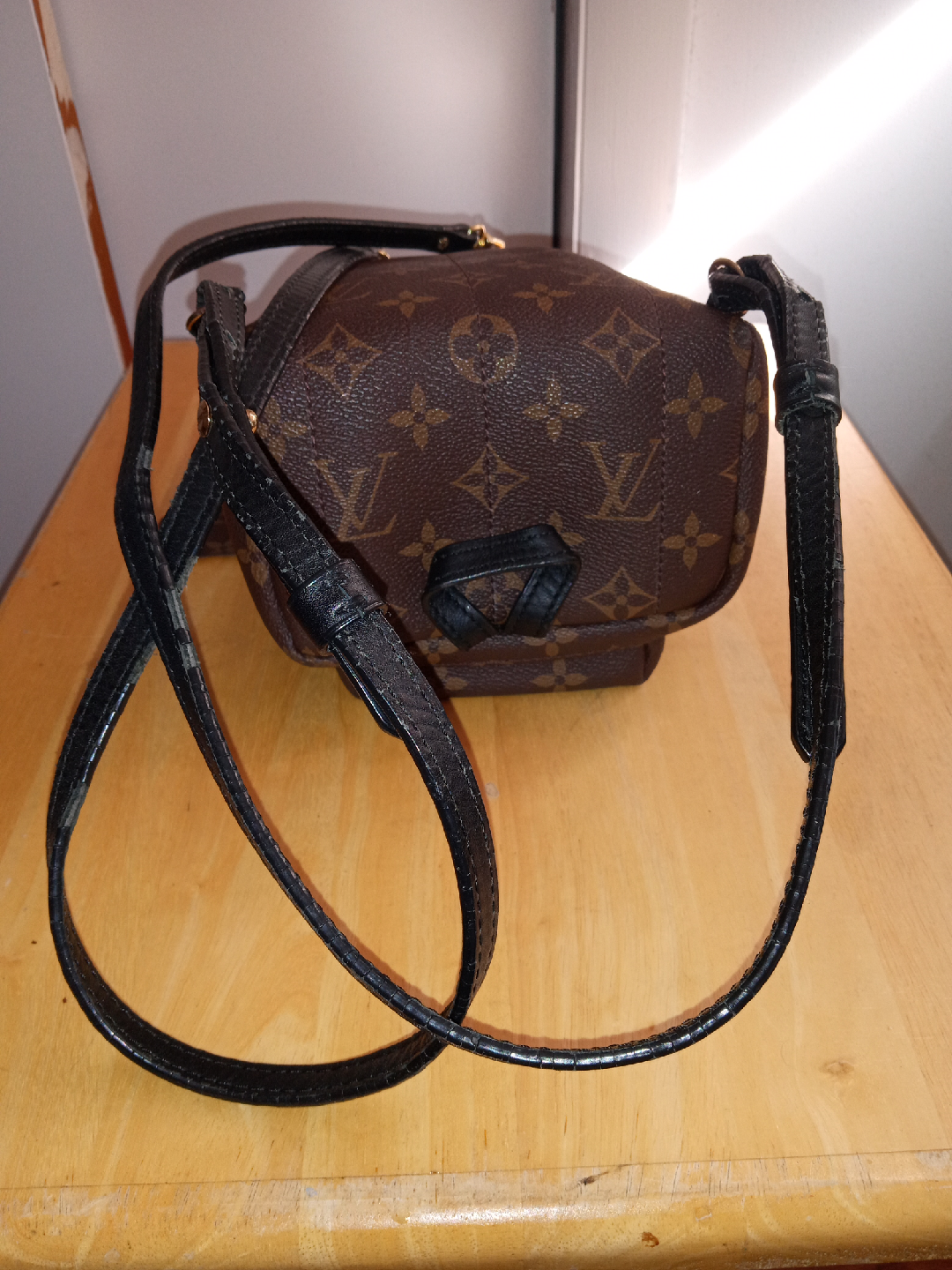 Louis Vuitton Palm Springs Mini Backpack - photo 5