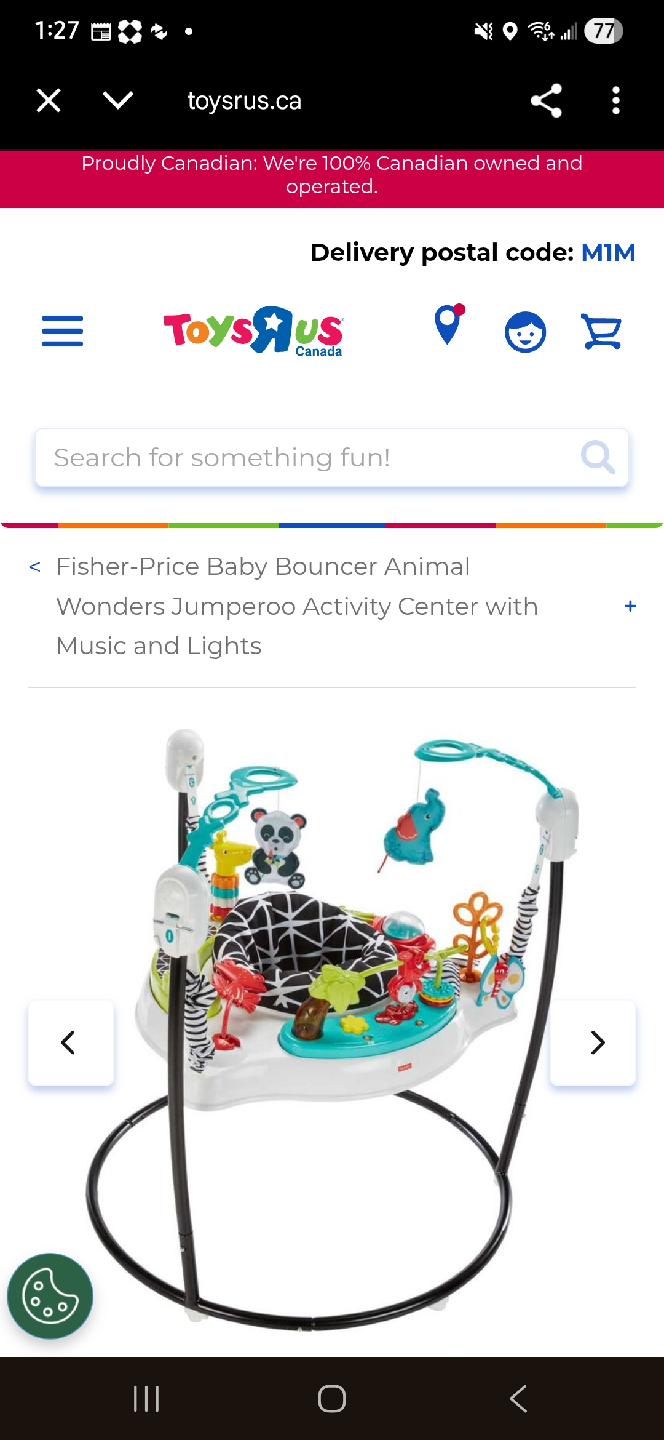 Fisher-Price Baby Jumperoo Activity Center - photo 3