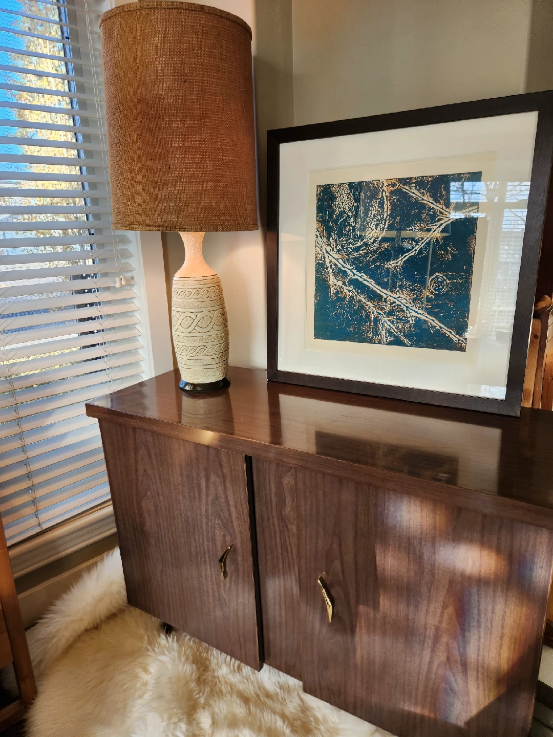 MID CENTURY storage Cabinet with Doors