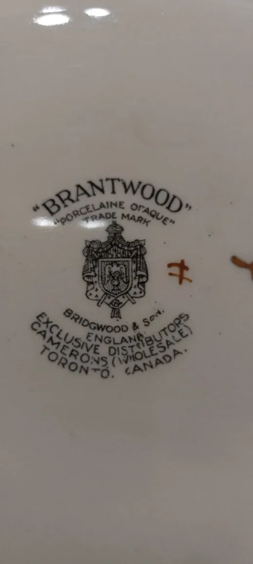 Vintage dinnerware image indicator(8)