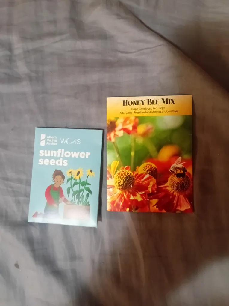Sunflower Seeds & Honey Bee Mix Seeds thumbnail