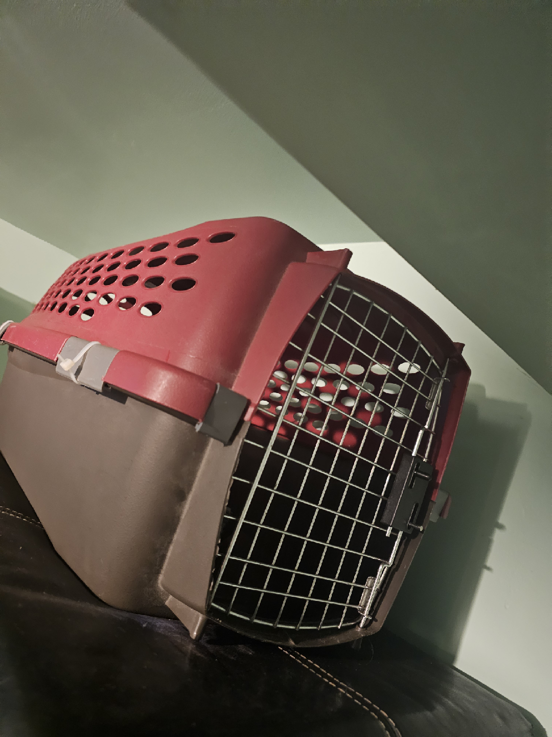 cat cage with food,treats