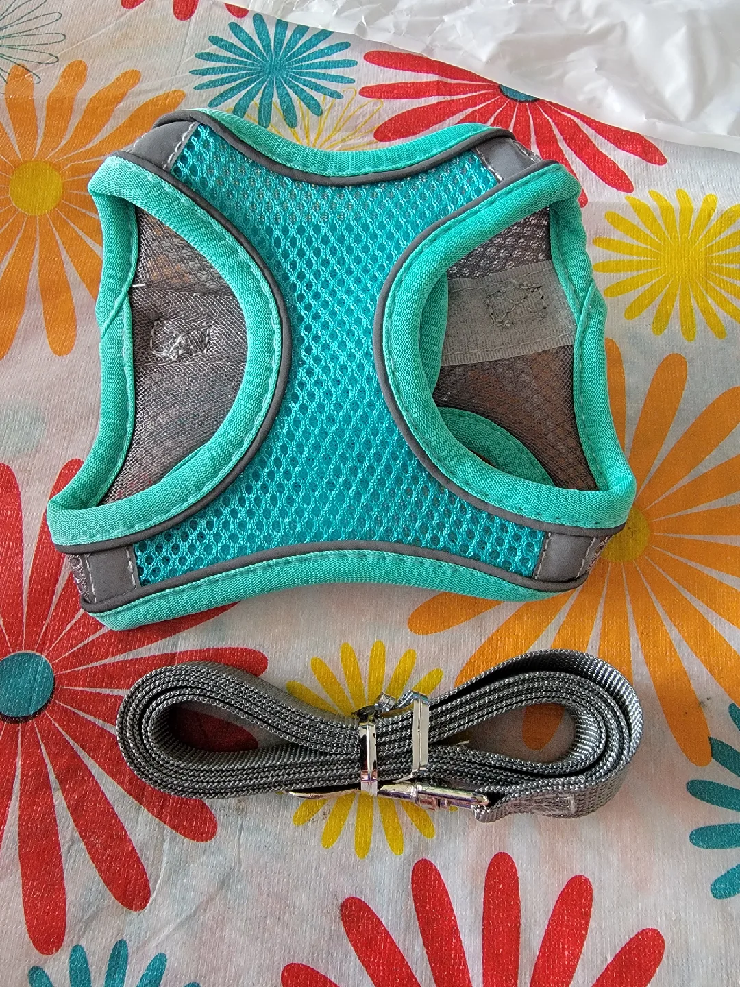 New - Kittens Harness with Leash - Size XXS thumbnail