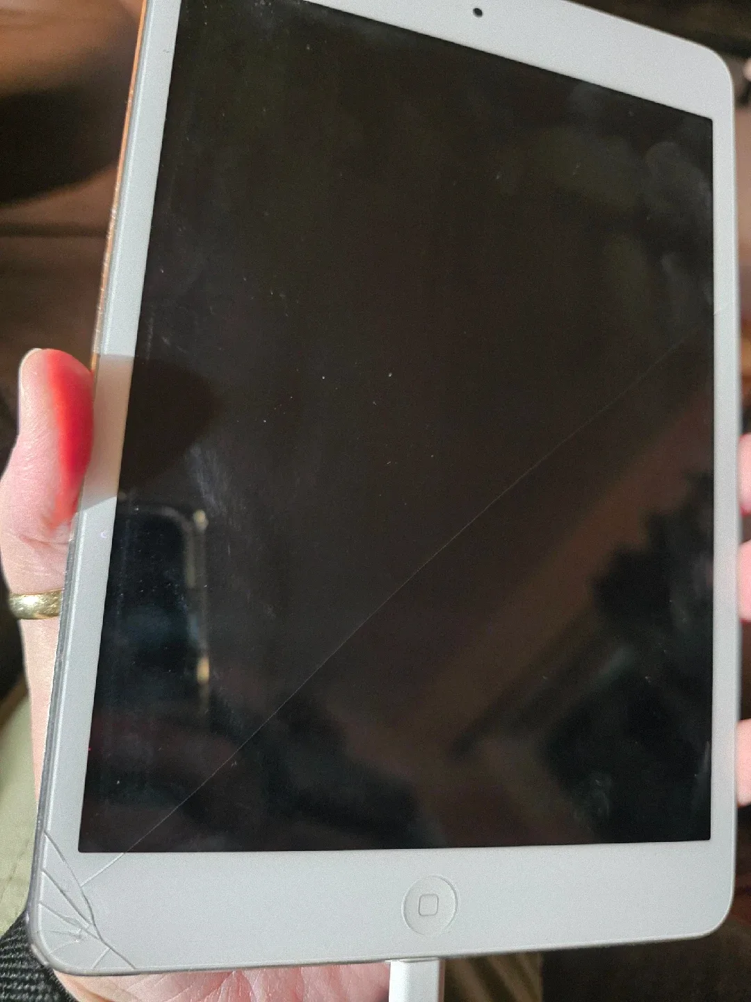 Old Ipad mini image indicator(3)