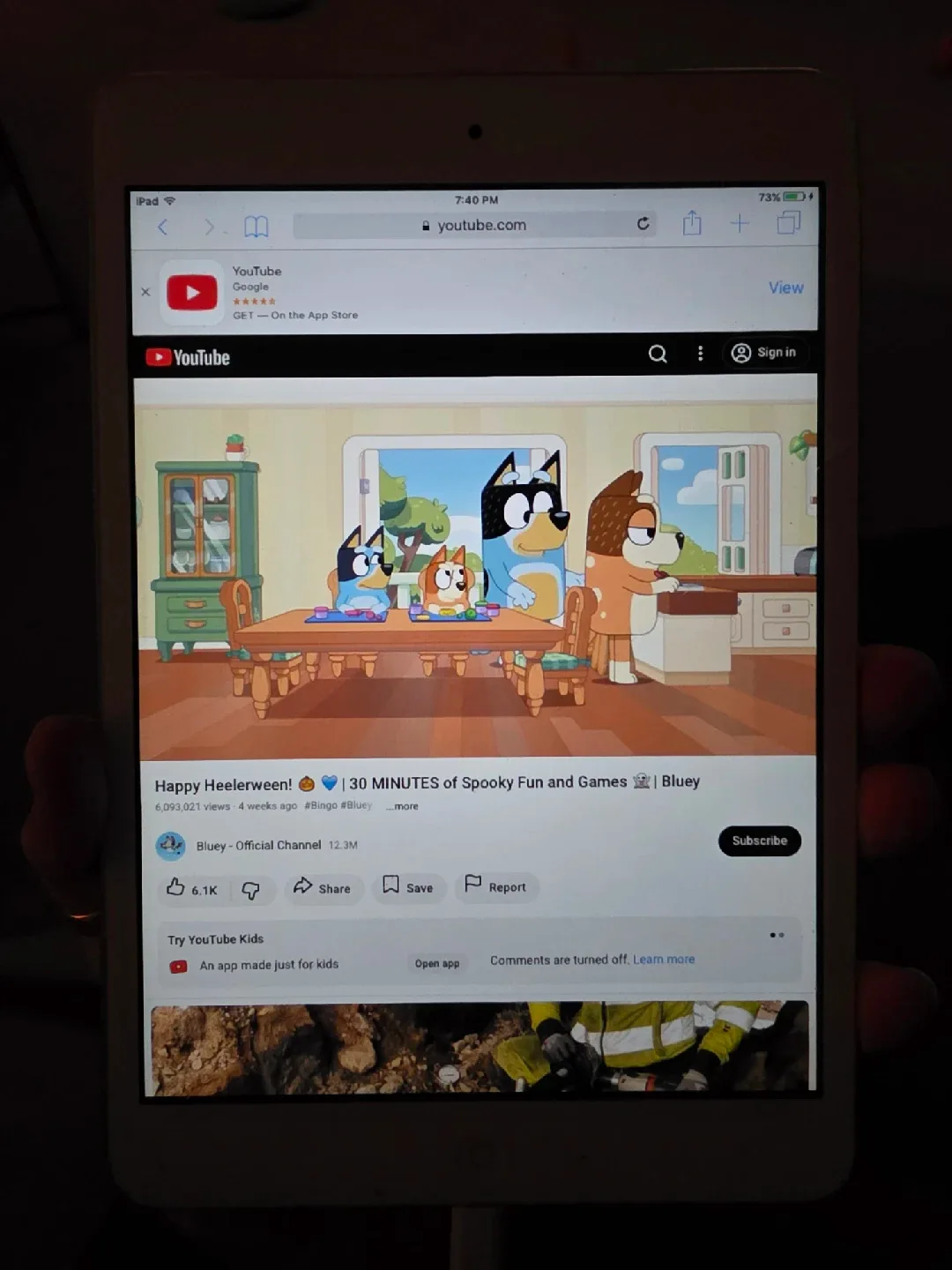 Old Ipad mini image indicator(5)