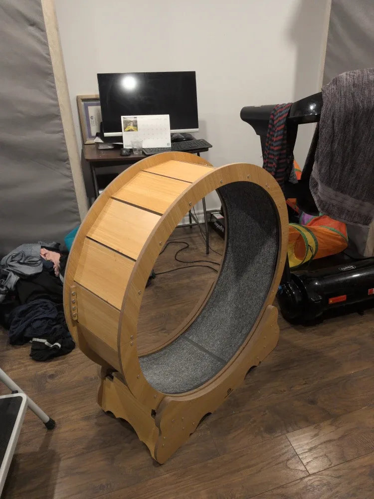 One Fast Cat Exercise Wheel image indicator(2)