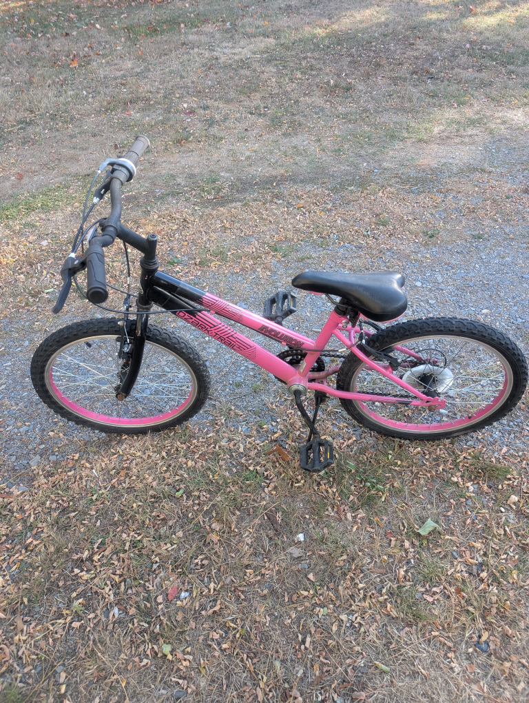 Pink & Black Girls Mountain Bike - photo 2
