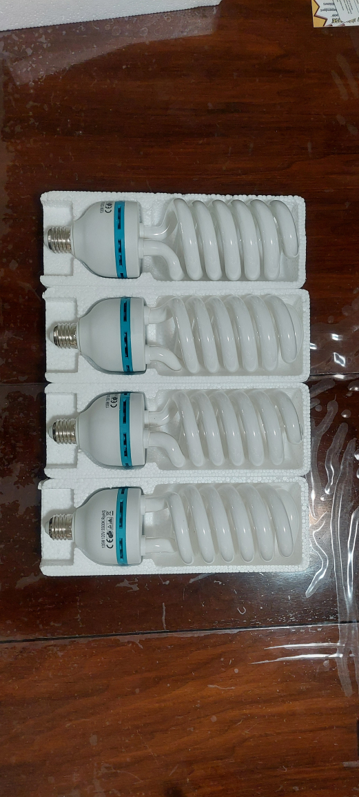 Photography Light Bulb 5500K