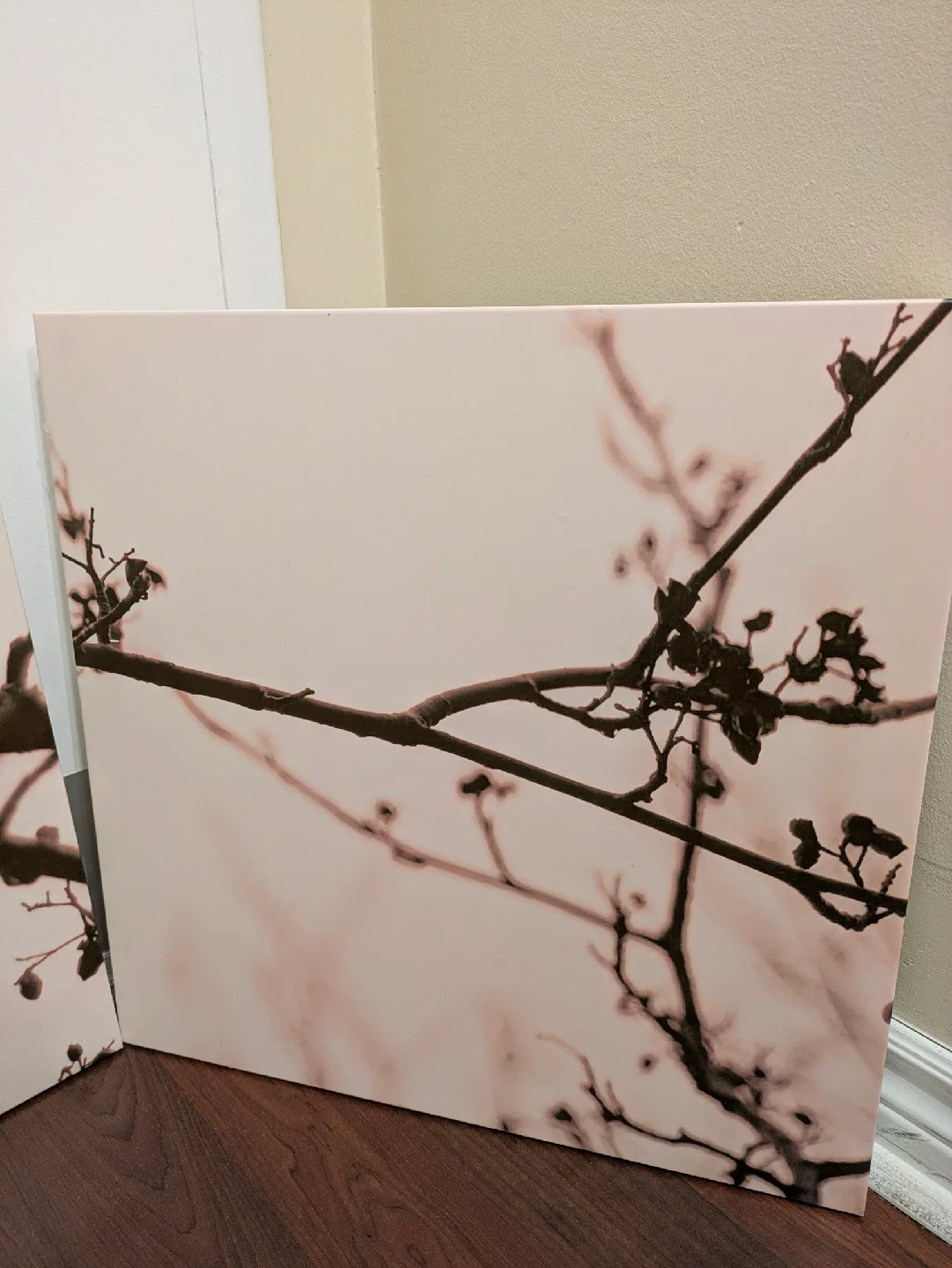 Set of 3 mounted prints image indicator(4)