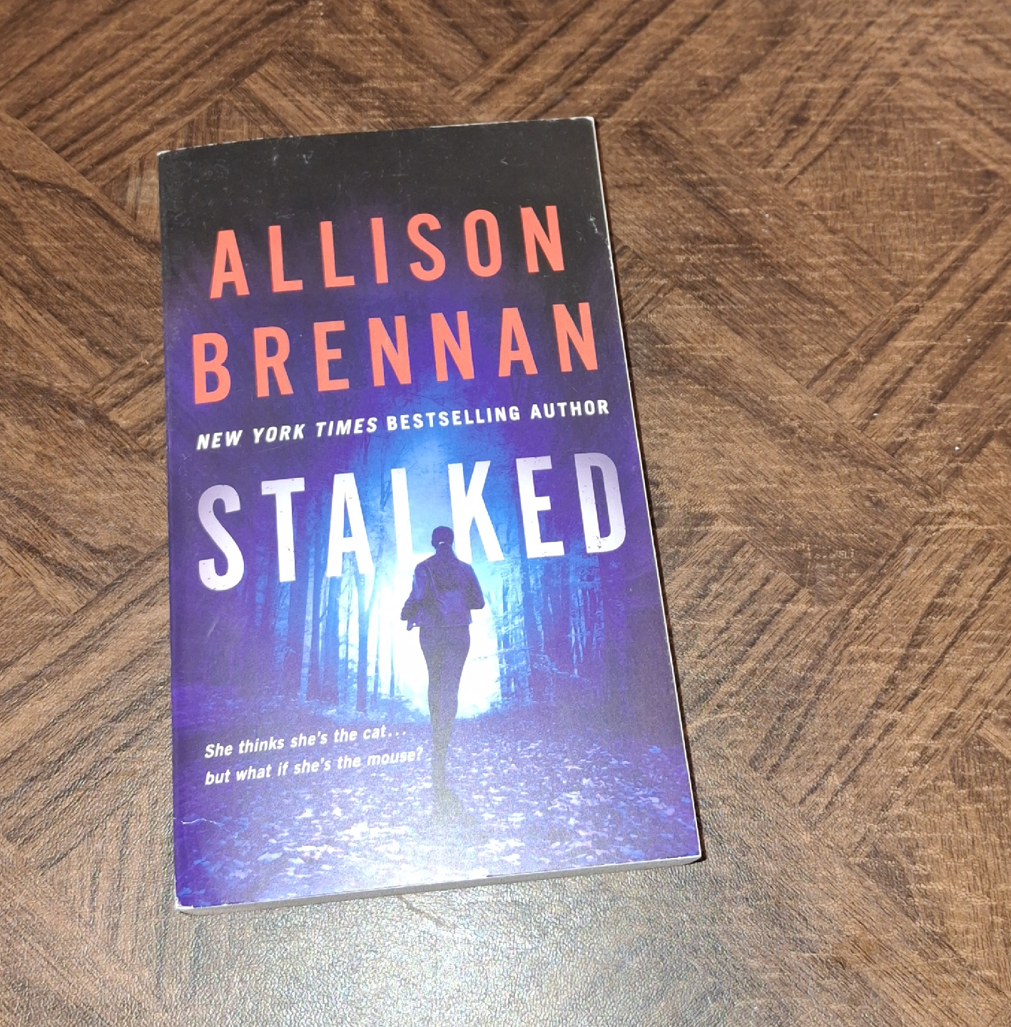 Allison Brennan Books $5.00 each - photo 2
