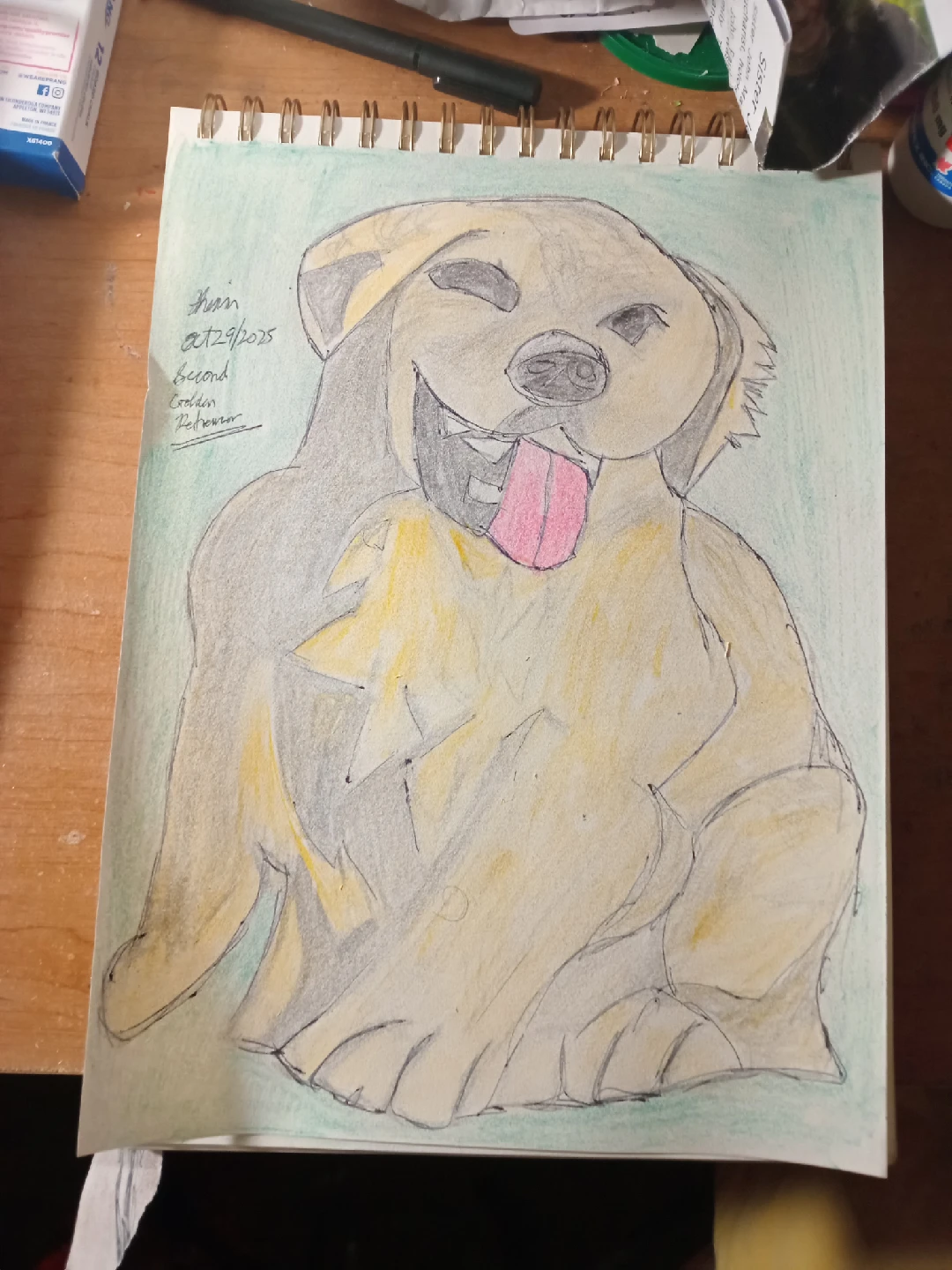 Dog Drawing by Custom Artist Sherwin