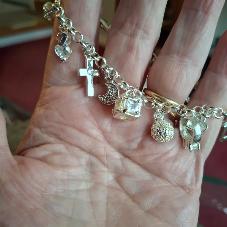 Silver Charm Bracelet image indicator(2)