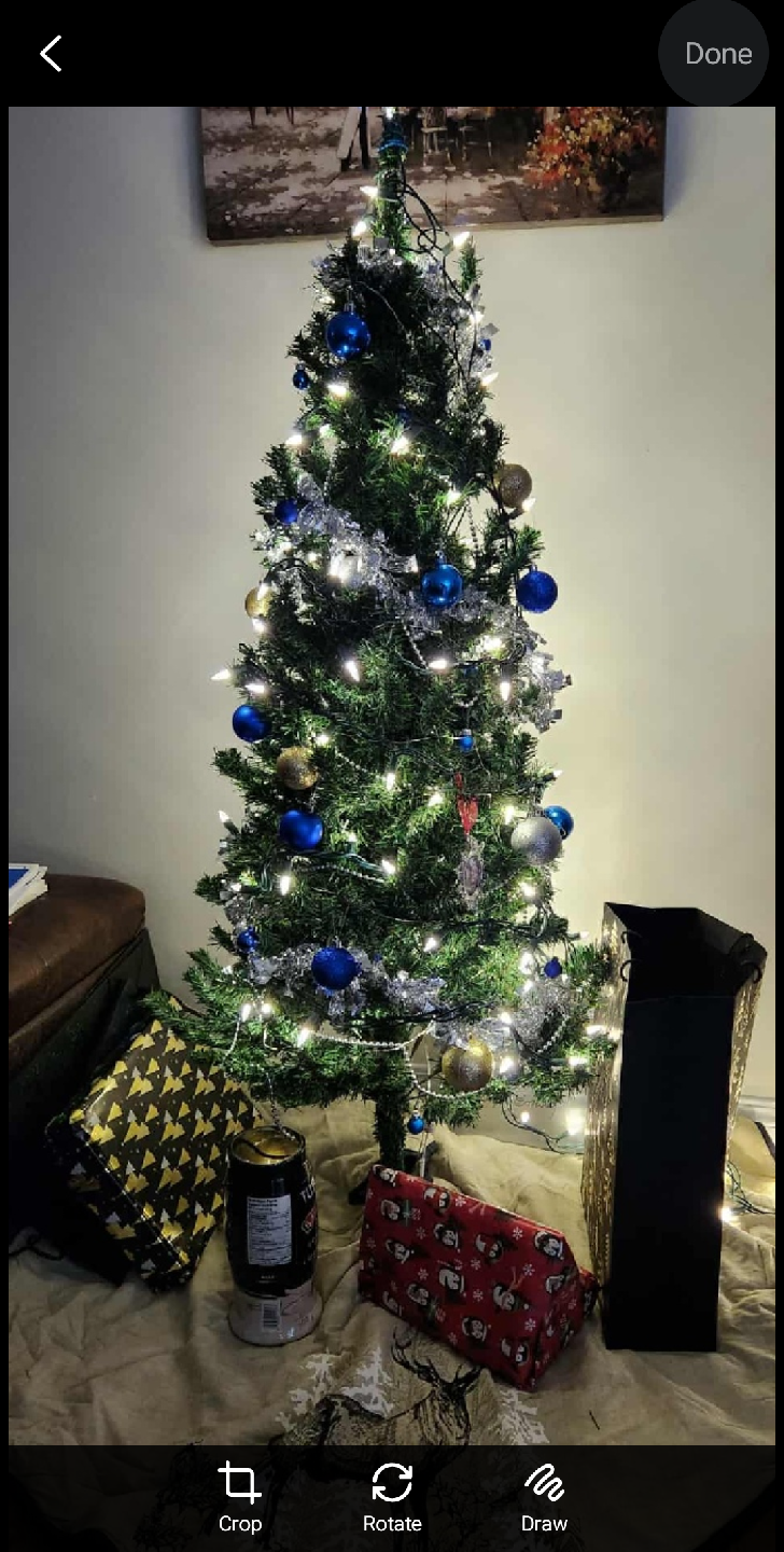 Bare Christmas Tree