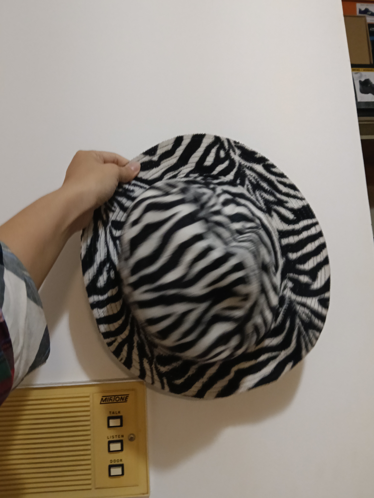 Zebra Print Bucket Hat