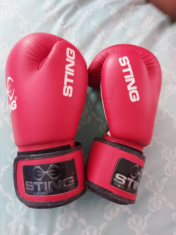 STING Armalite Boxing Gloves - Red
