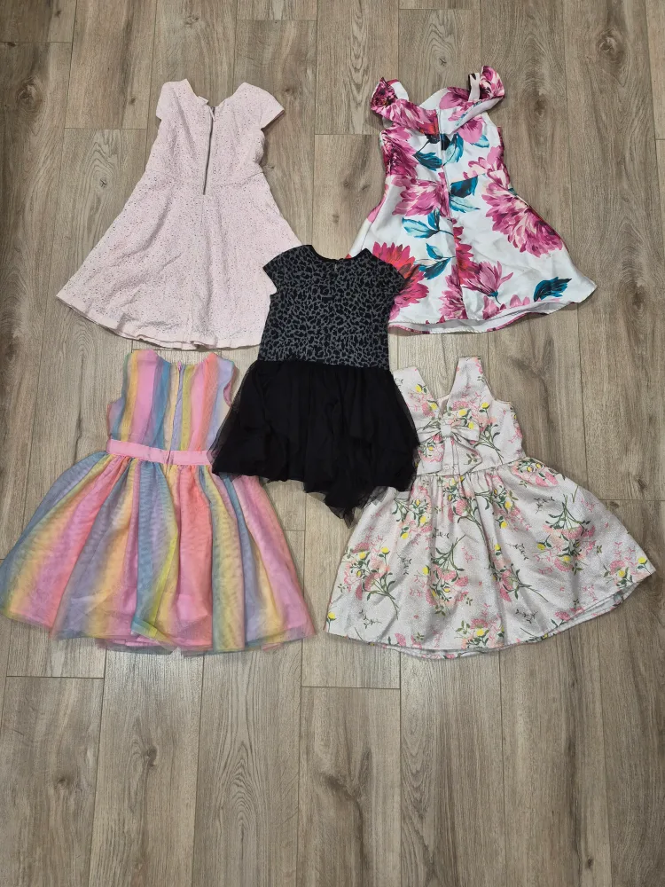 5T Girls Dresses Bundle image indicator(7)